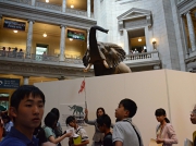 DSC_6354続いて、国立自然史博物館に到着です.JPG